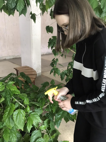 Занятия кружка «Комнатное цветоводство и экология жилища».
