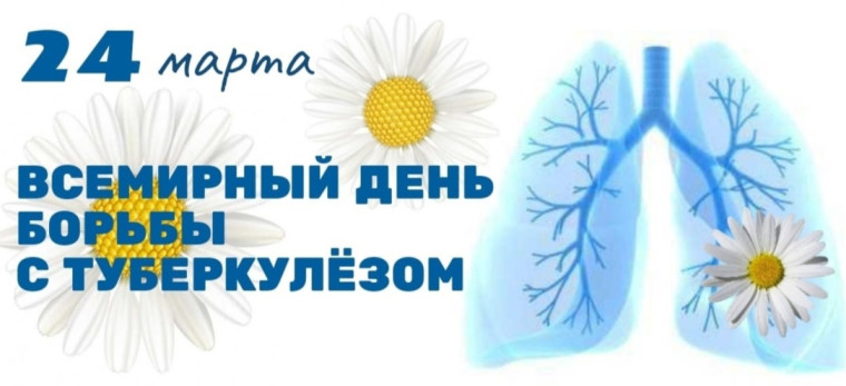 Белая ромашка.